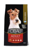 CIBAU Adult mini