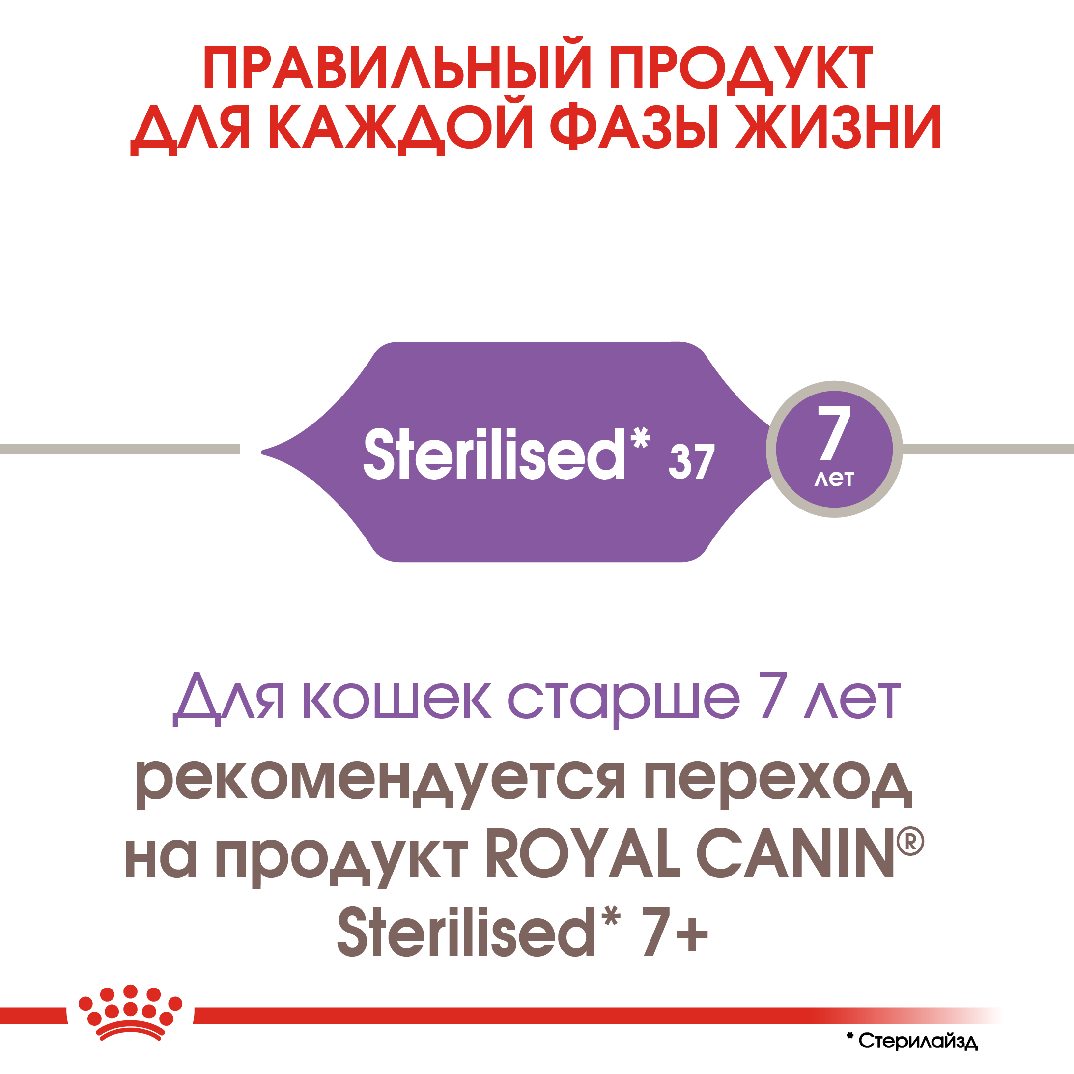 5_RC-FHN-Sterilised37-CV-Eretailkit-1__ph