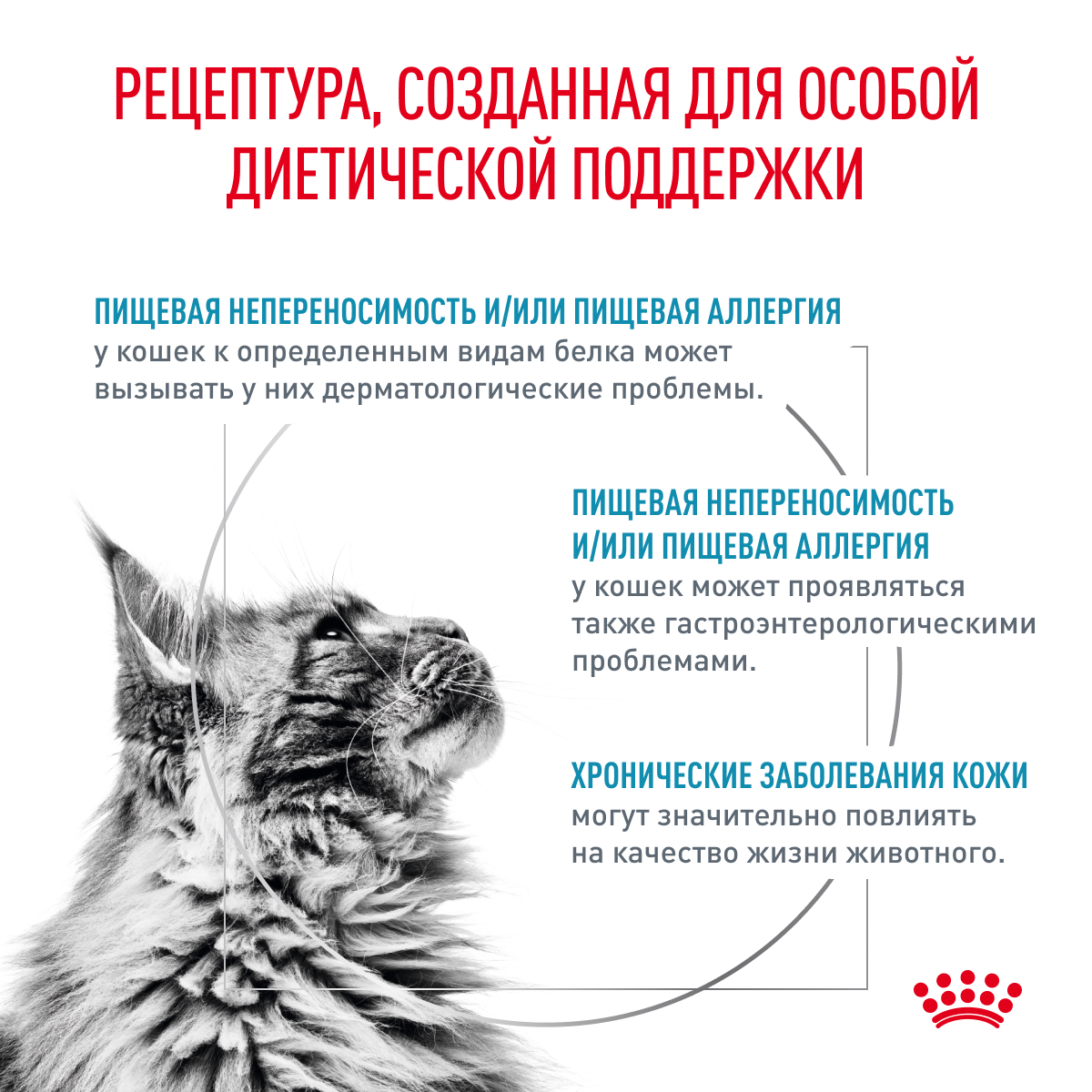 Cat_Sensitivity-Control_chiken&rice_wet_2