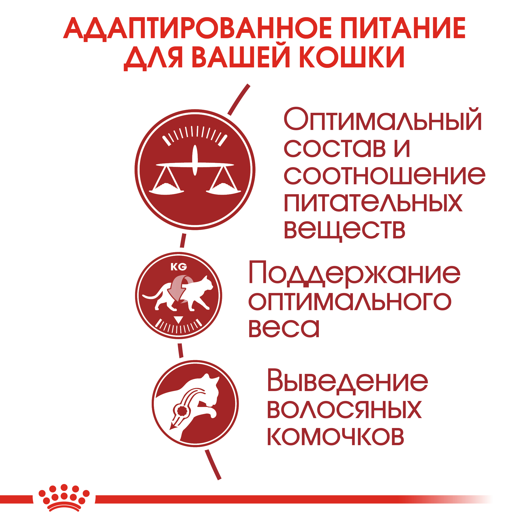 4_RC-FHN-Fit32-CV-Eretailkit-2__ph