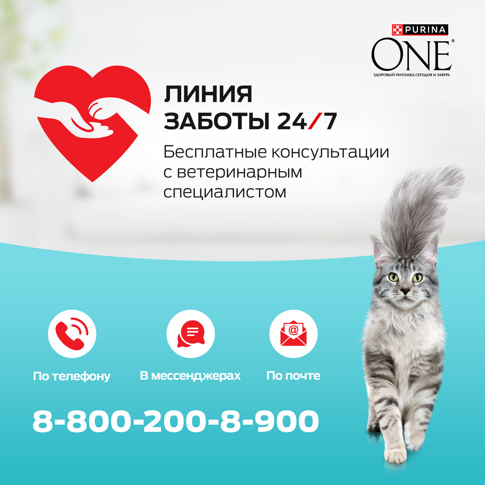 e0ab8e13-7674-408a-aae8-e1fd93ef2cb8