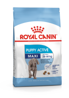 Royal Canin Maxi Puppy Active