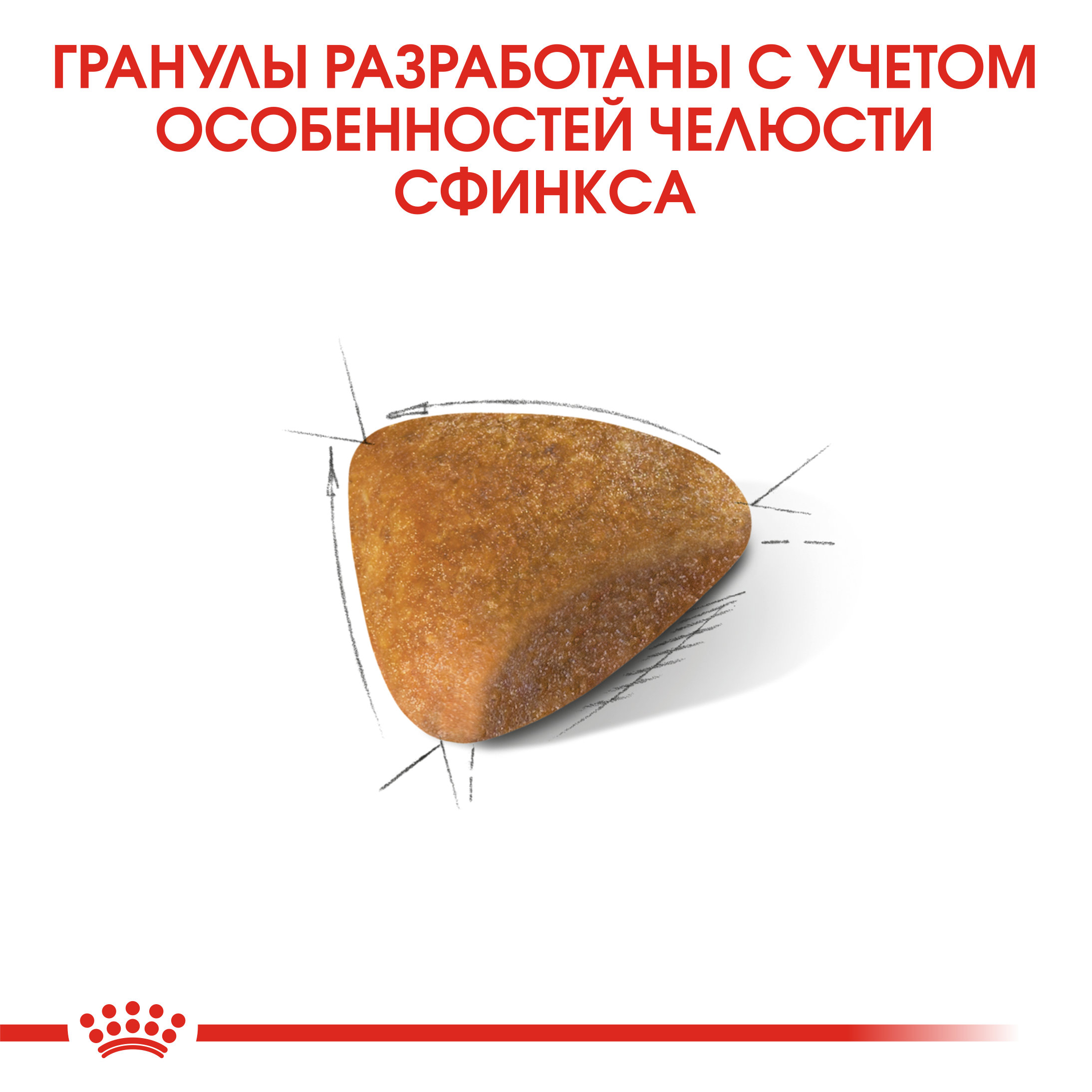 7_RC-FBN-Sphynx-CV-Eretailkit-2 RUS-new