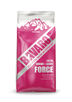 025 Bavaro Force