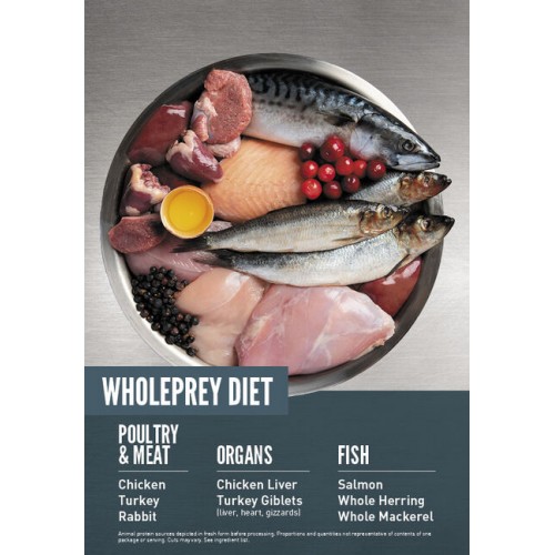 orijen cat guardian 3-500x500