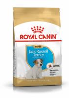 pu-jack-russel-packshot-bhn18