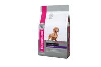 Eukanuba корм для взрослых собак породы Такса, курица