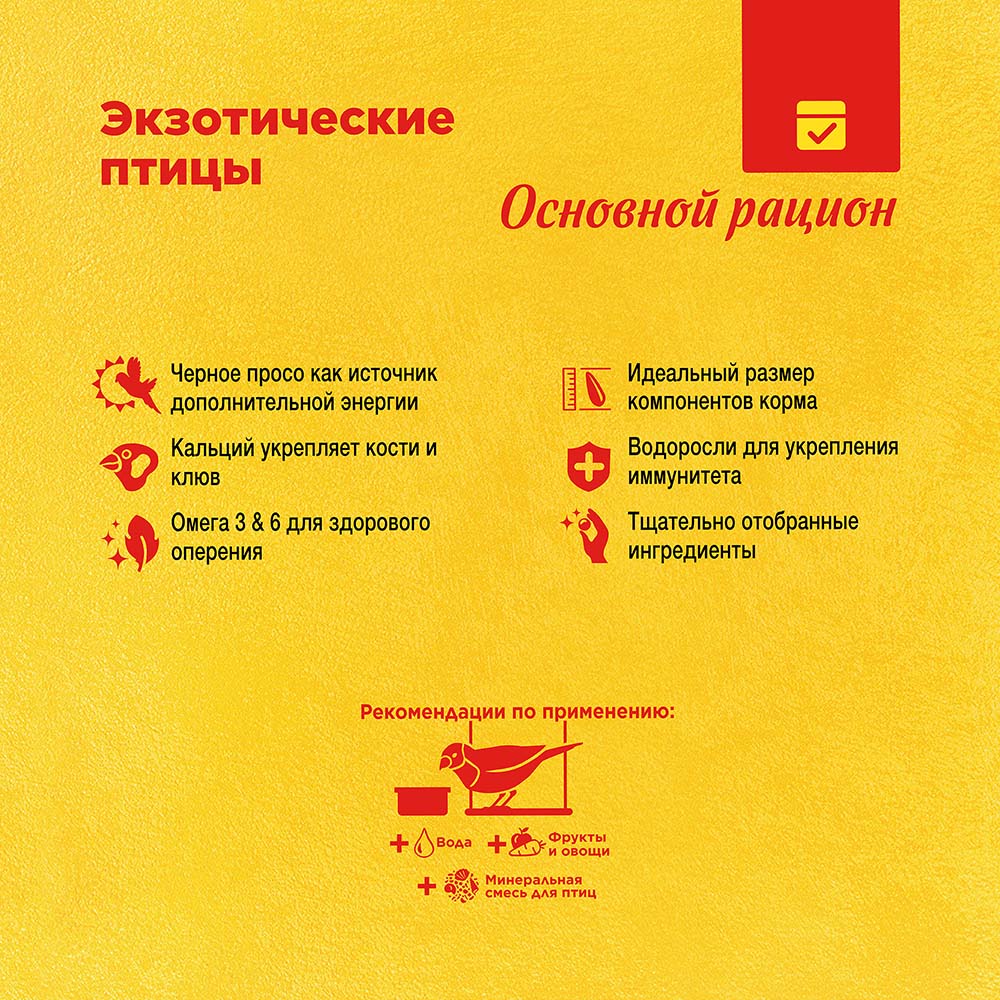 RIO_feed_exotic_plus