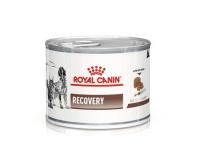 vhn-gastrointestinal-recovery-cat-dog-loaf-can-packshot