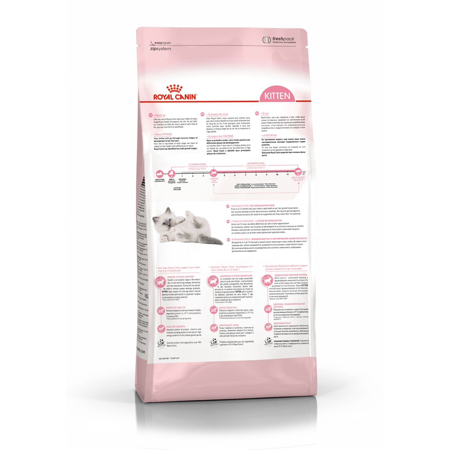 3.Киттен_front B квадрат