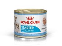 shn18-starter-n-can195