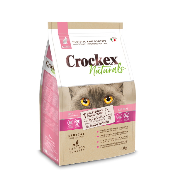 83017 3D KITTEN_POLLO2