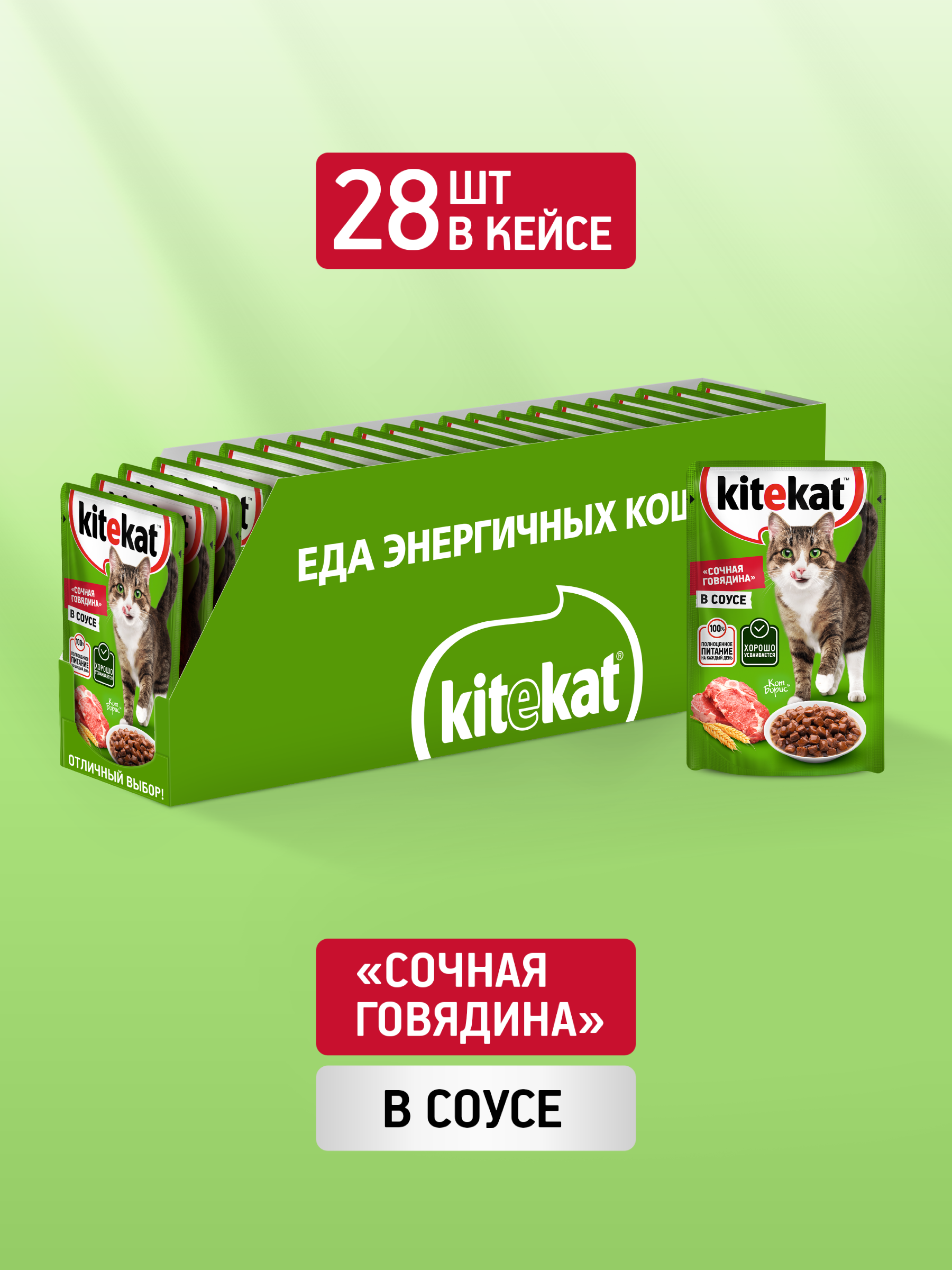 KEK_ECOMM_WET01_34_2025.09.16_wet_green_background_Beef_CIG_Back_Tray2
