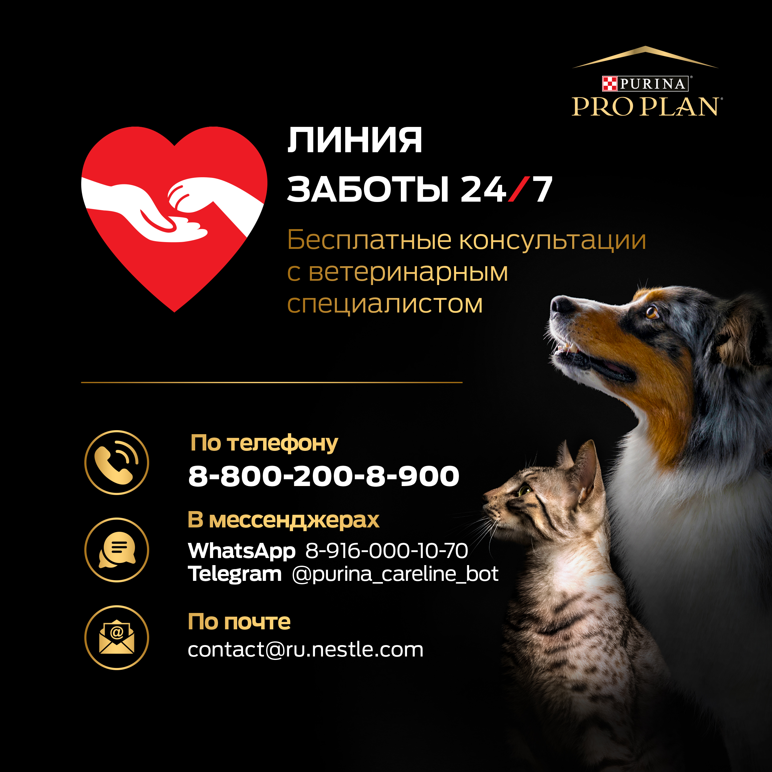 ProPlan_careline_ru_no-site (2)