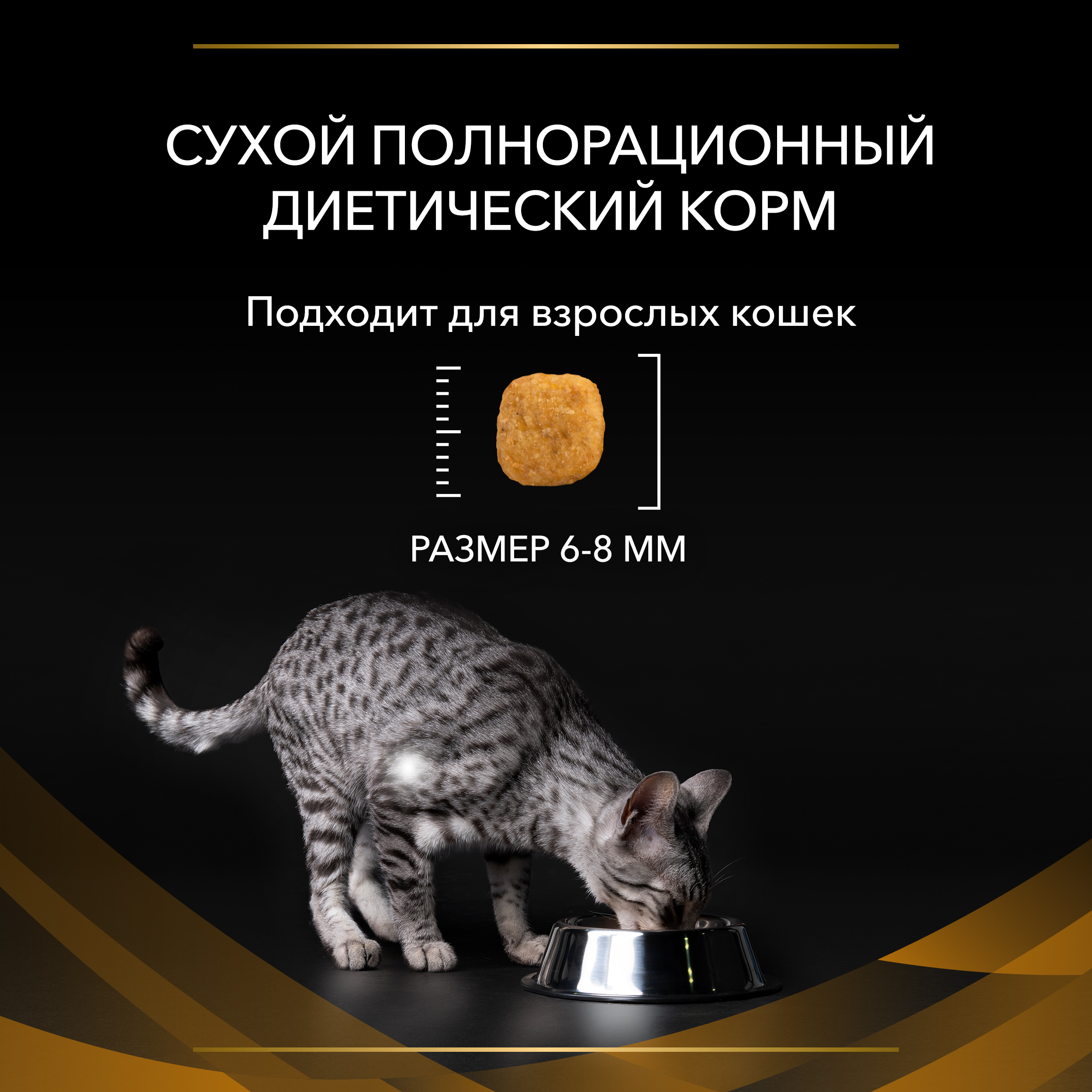 img5_PUPPVDDCAdvNFAd22Ksiz2CLGEM_ru