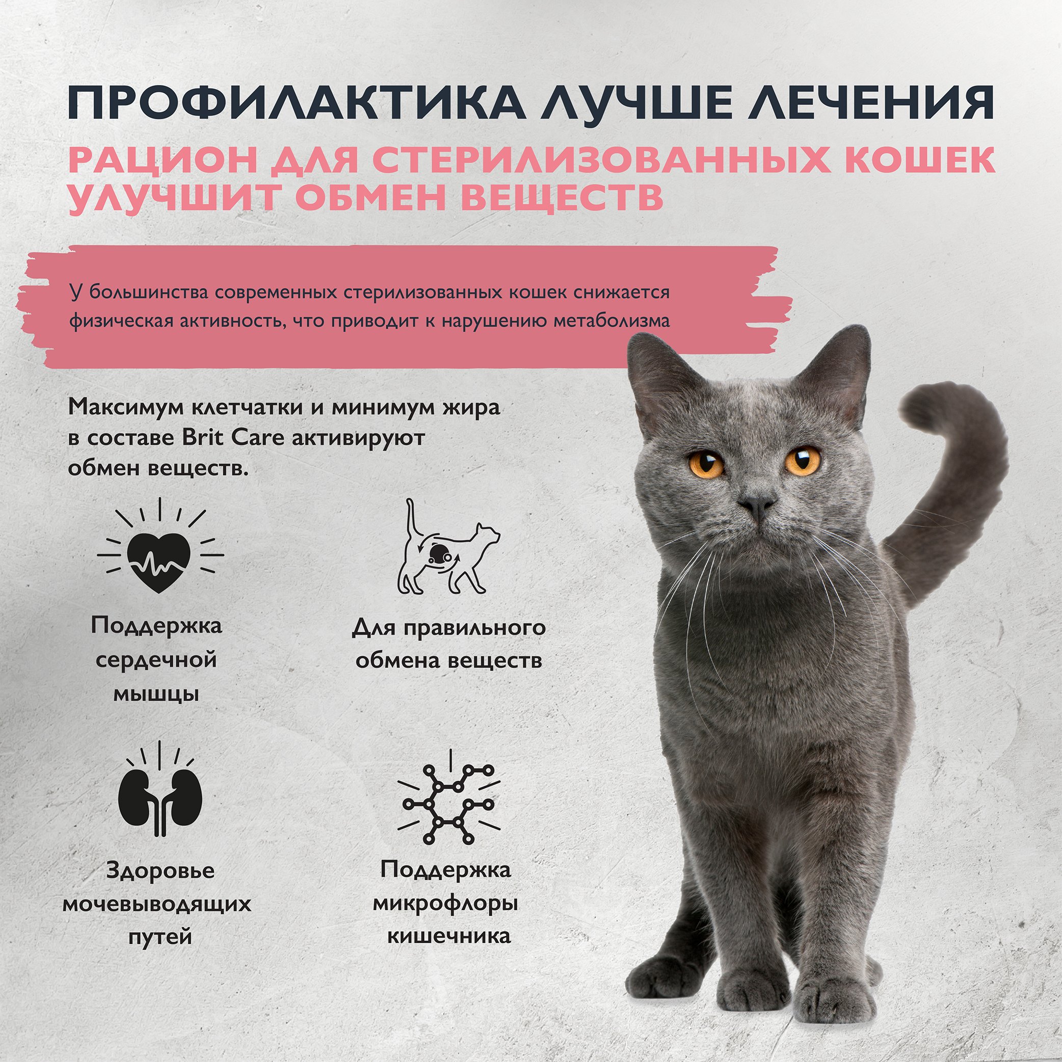 cat_sterilised_metabolic-02