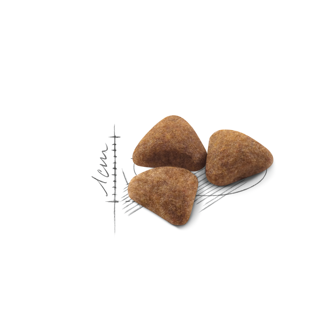 4_16-INDOOR_27_Med._Res.___Basic_43122