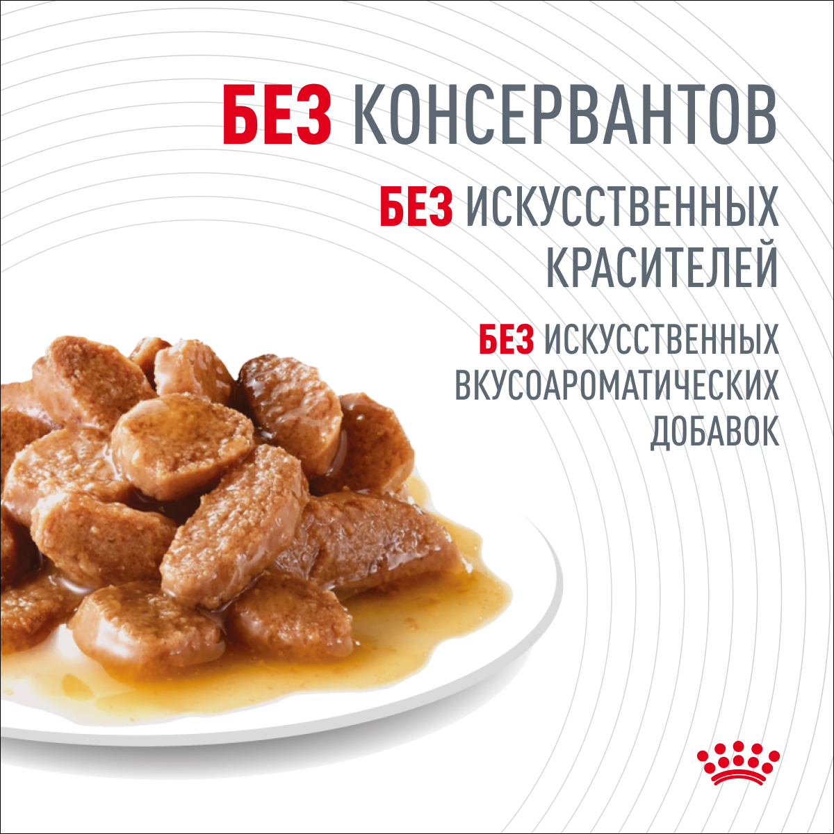 Digestive-Wet_Grovy_6