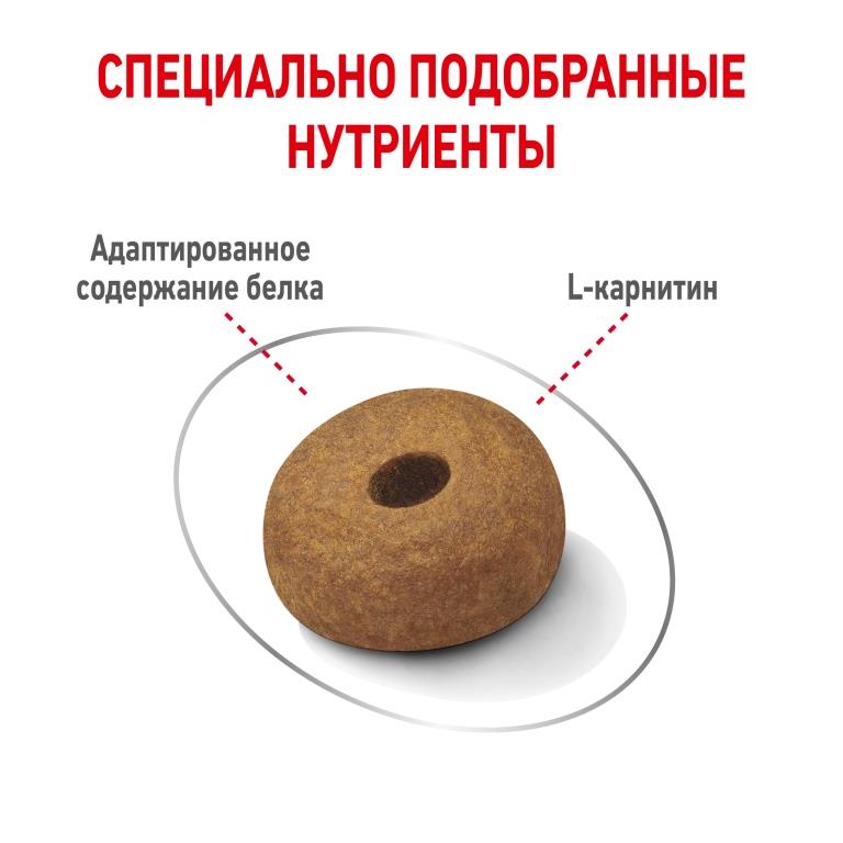 RC-SPT-DRY-LightWeightMAXI_rus5 (1)