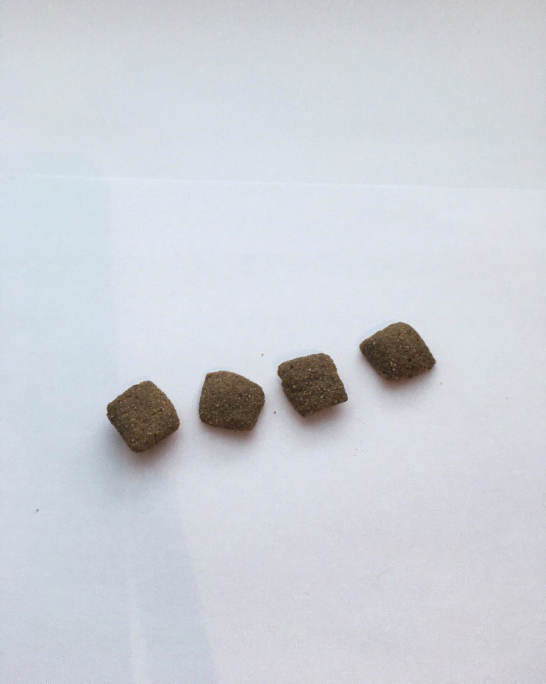 024 JosiDog Sensitive 2