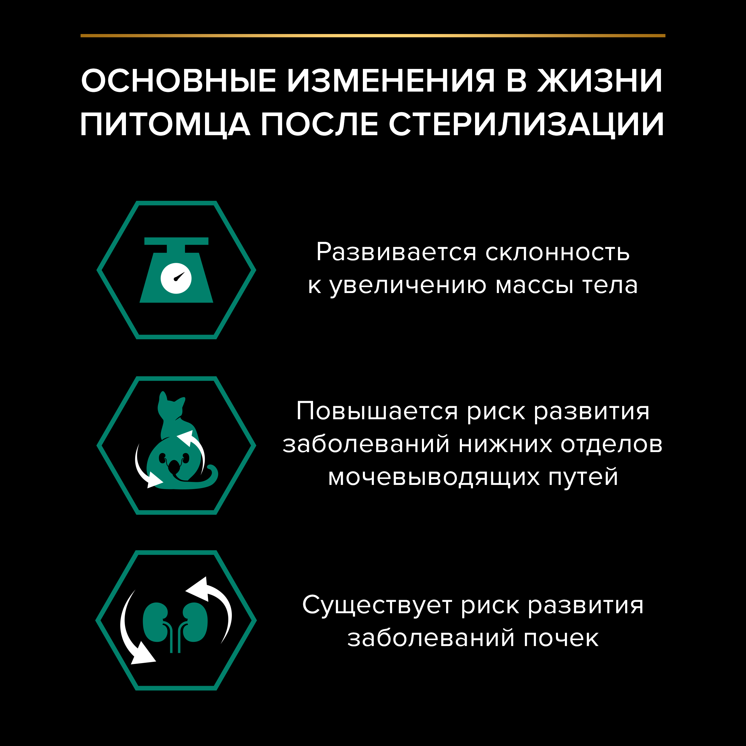 8445291203648_promo_ru