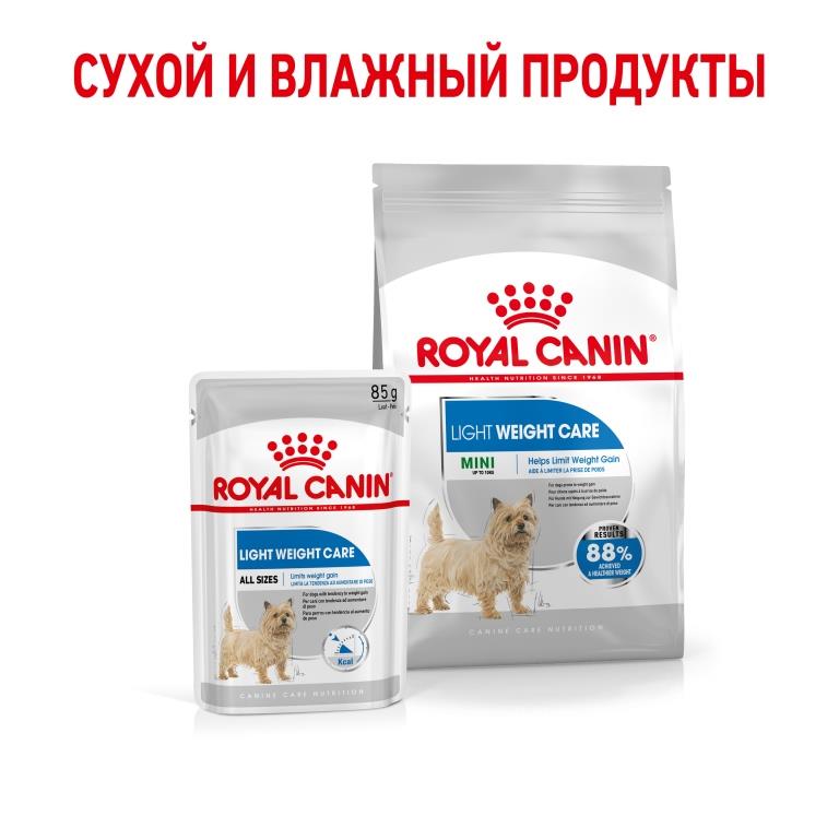 RC-SPT-DRY-LightWeightMINI_rus6