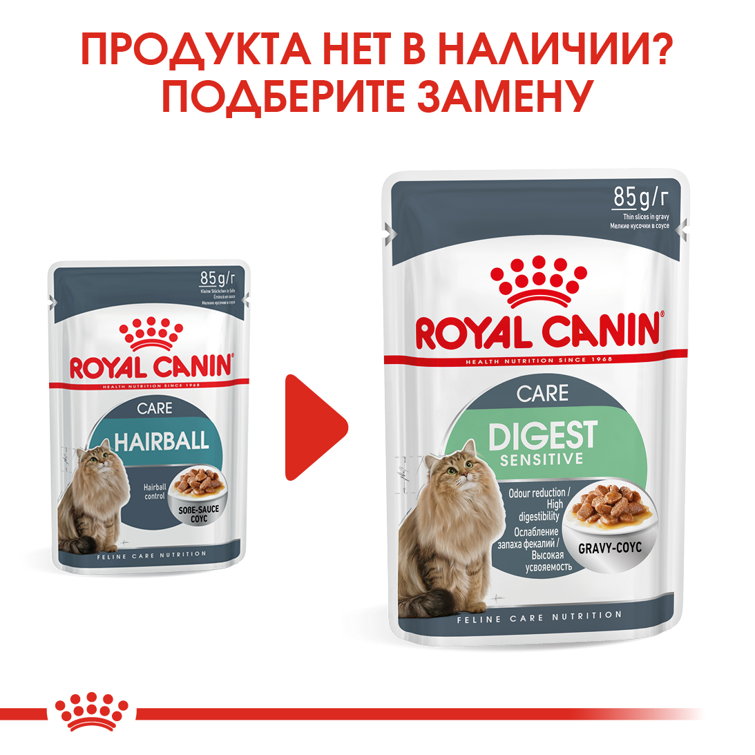 zamena_HAIRBALL CARE (ХЭЙРБОЛЛ КЭА)