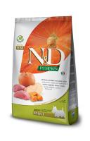 PUMPKIN BOAR&APPLE Adult mini