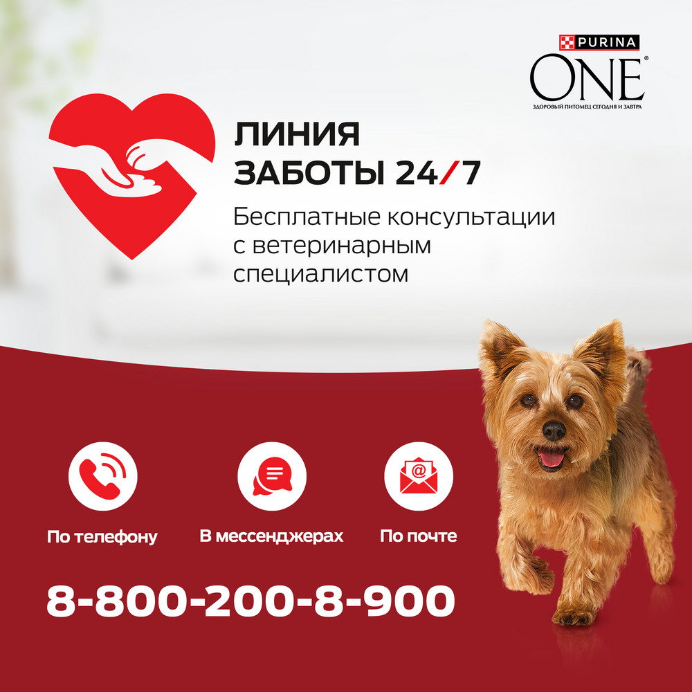 f134dafd-e687-49fa-8431-189e4d3cd802 (1)