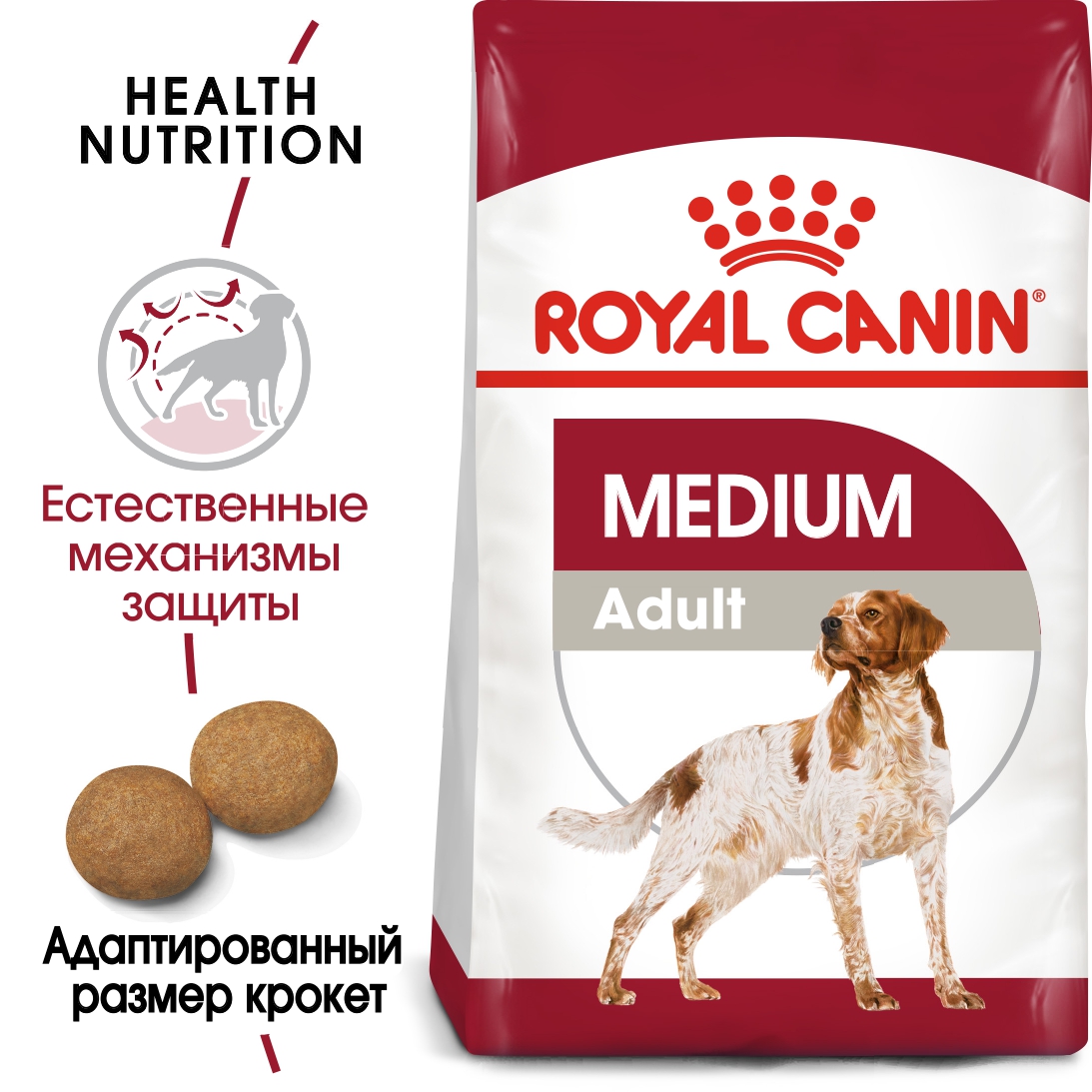 Медиум Эдалт_2