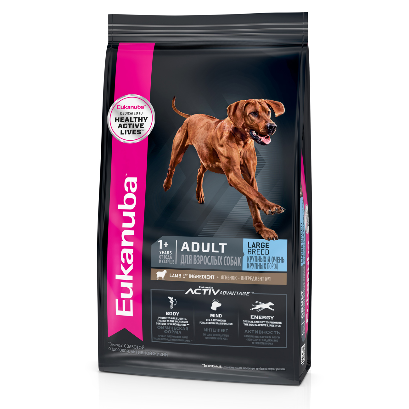 adult large breed - lamb - 1