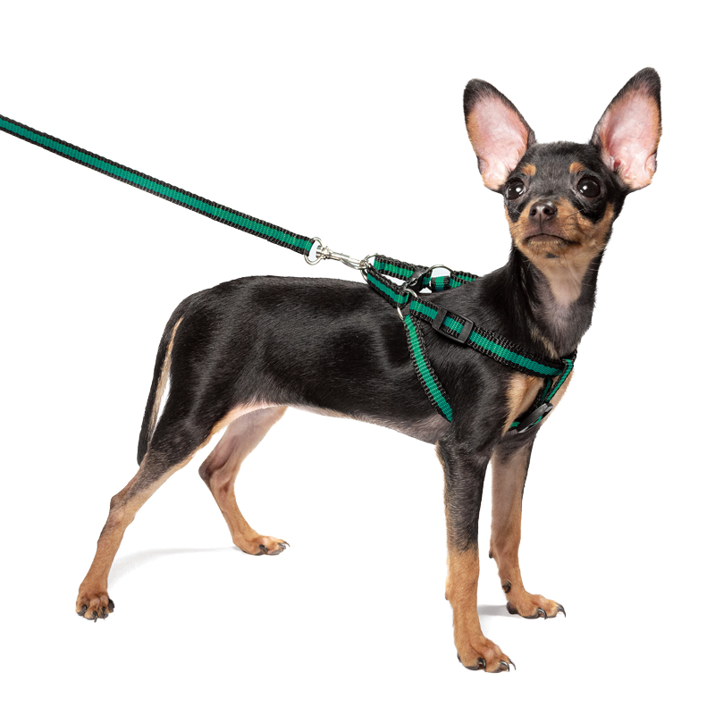 good-854e6662-09c9-11e9-8a25-0050569459e9