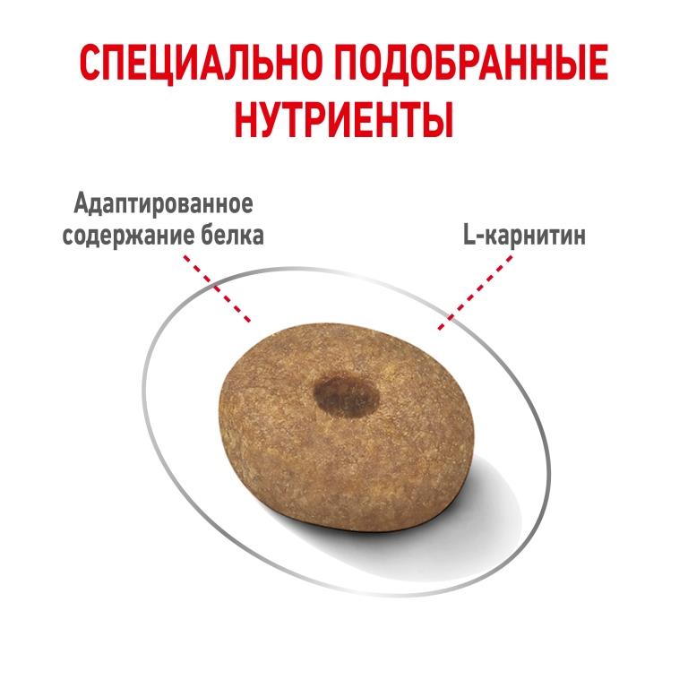 RC-SPT-DRY-LightWeightMINI_rus5