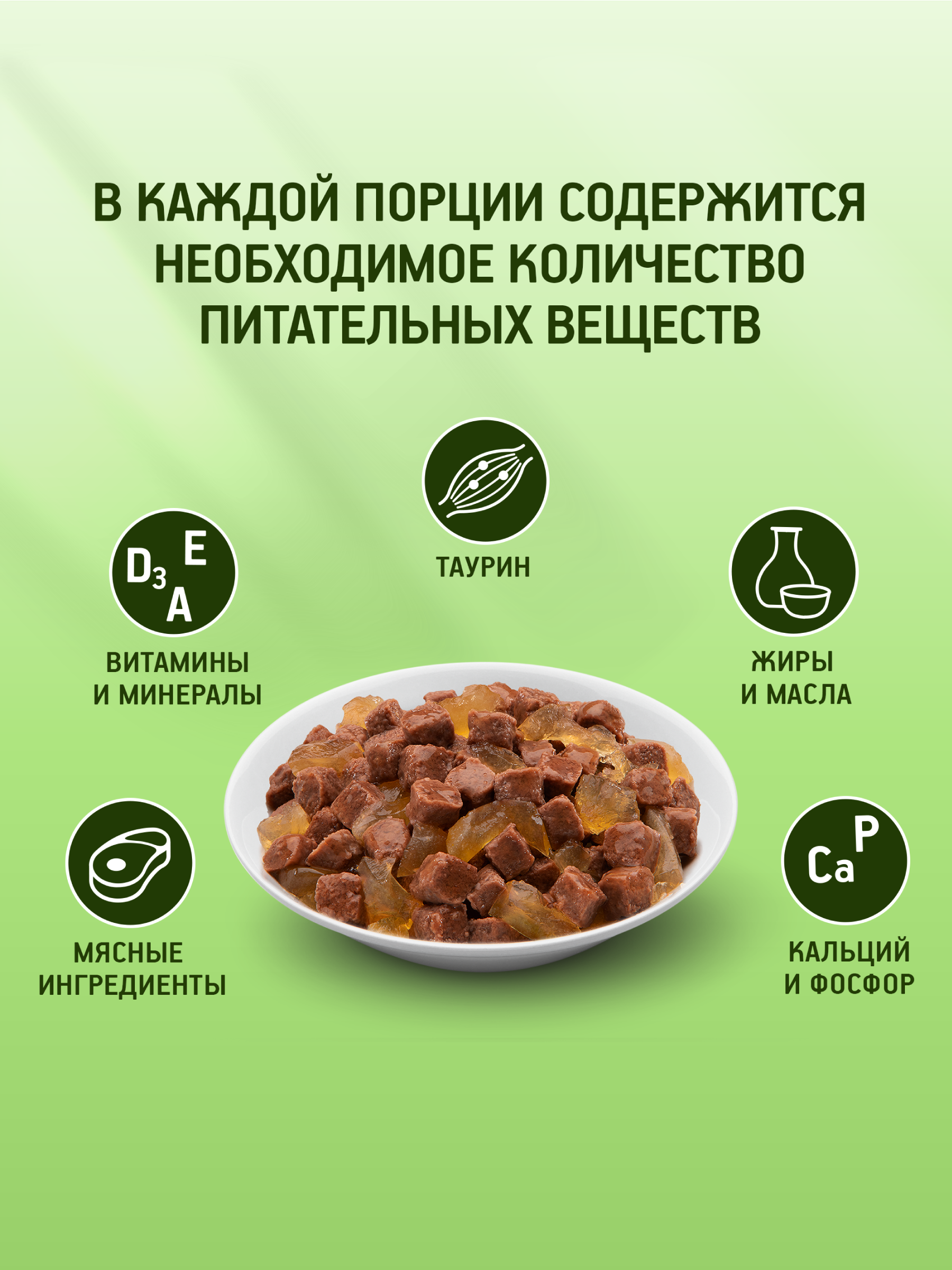 KEK_ECOMM_WET02_34_2025.09.16_wet_green_background_Beef_Jelly_benefits