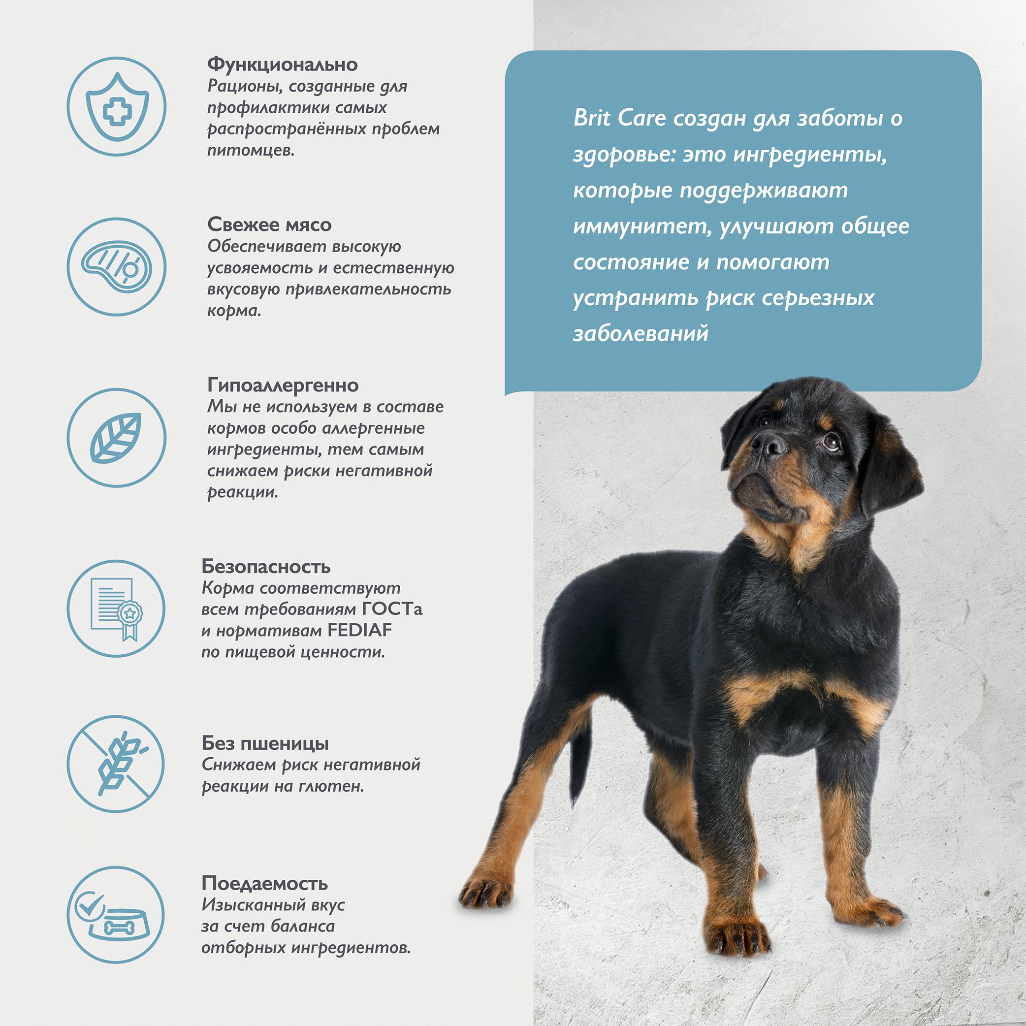 dog_puppy_junior_healthy_growth_L-03