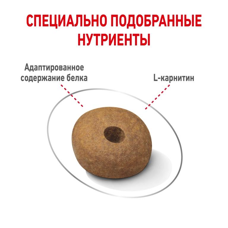 RC-SPT-DRY-LightWeightMED_rus5