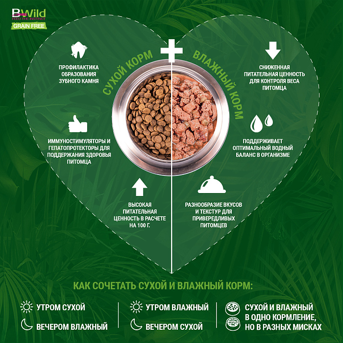 ow76pfl55688wu3jk7asa7qjf7qd0t4q