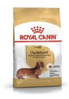 ad-dachshund-packshot-bhn18