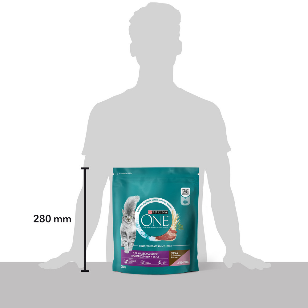 36e5d30a-1e29-404e-a0f9-278283facb92