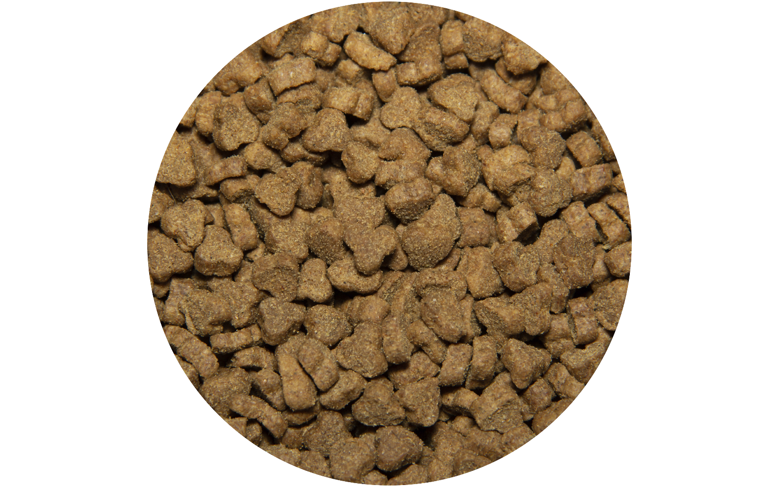 7fad57bf049dc7e7c08f7bd6d085bfb5