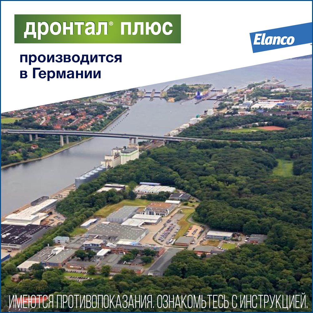 7. Drontal dog_Germany (2)