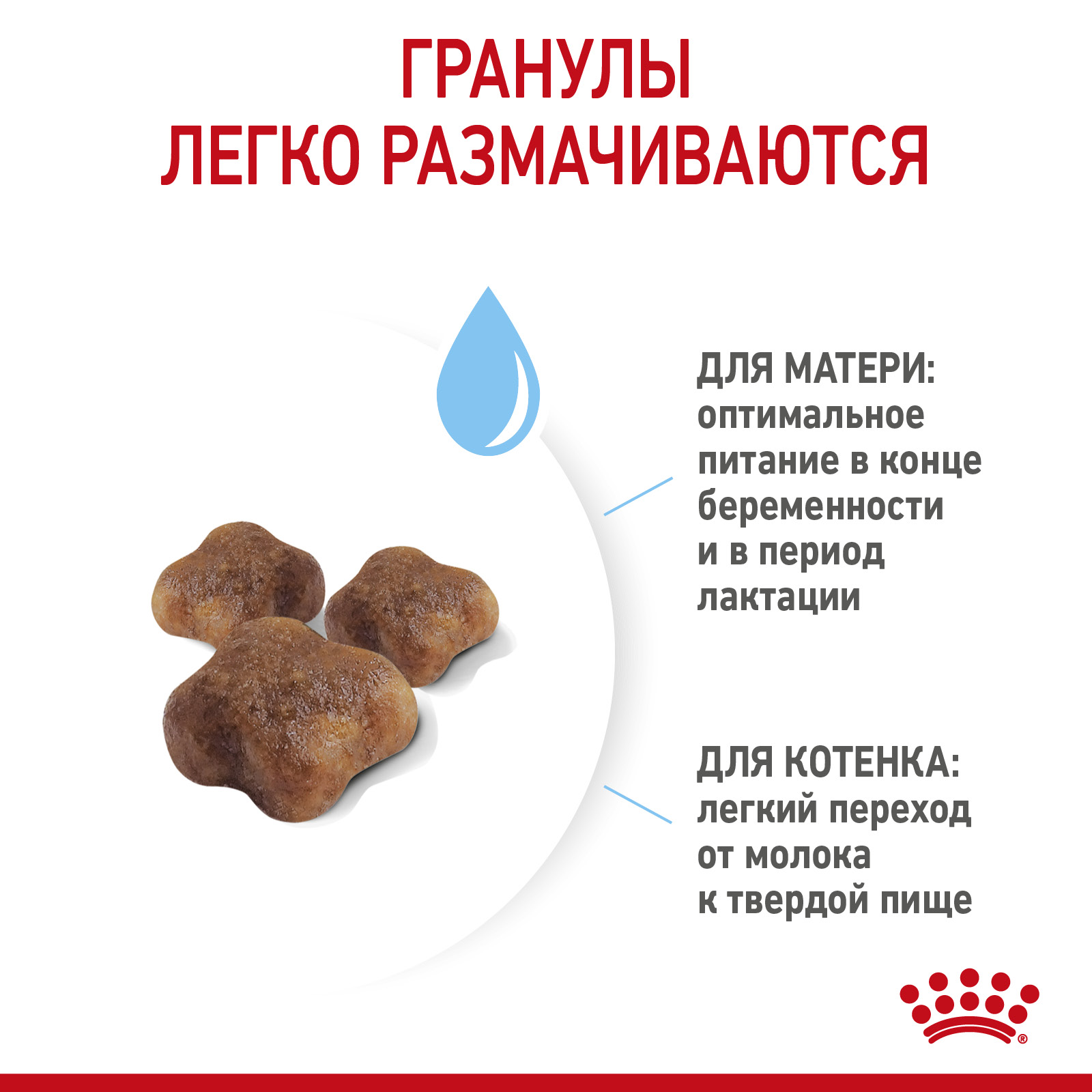 RC-SPT-DRY-Babycat-CV-4_AB (1)