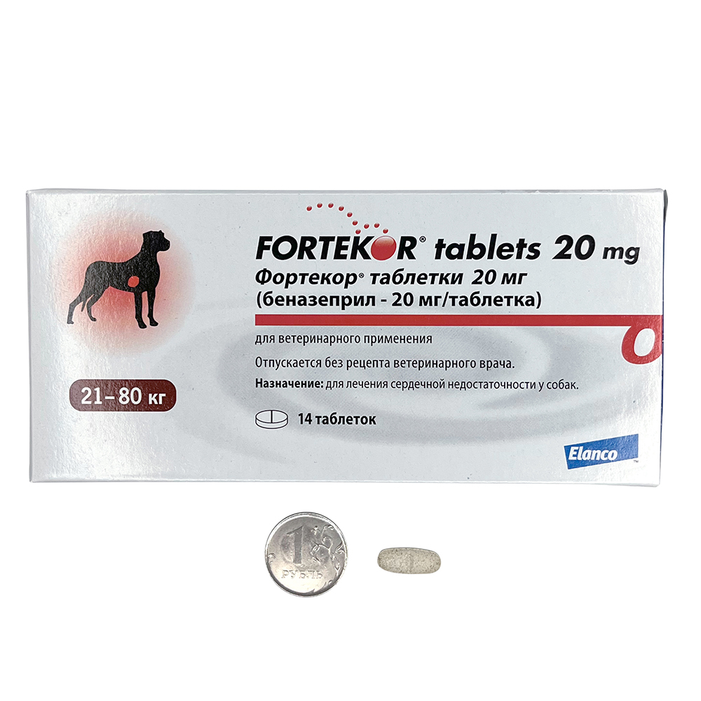 6. Fortekor 20 mg_tabl with pack and coin