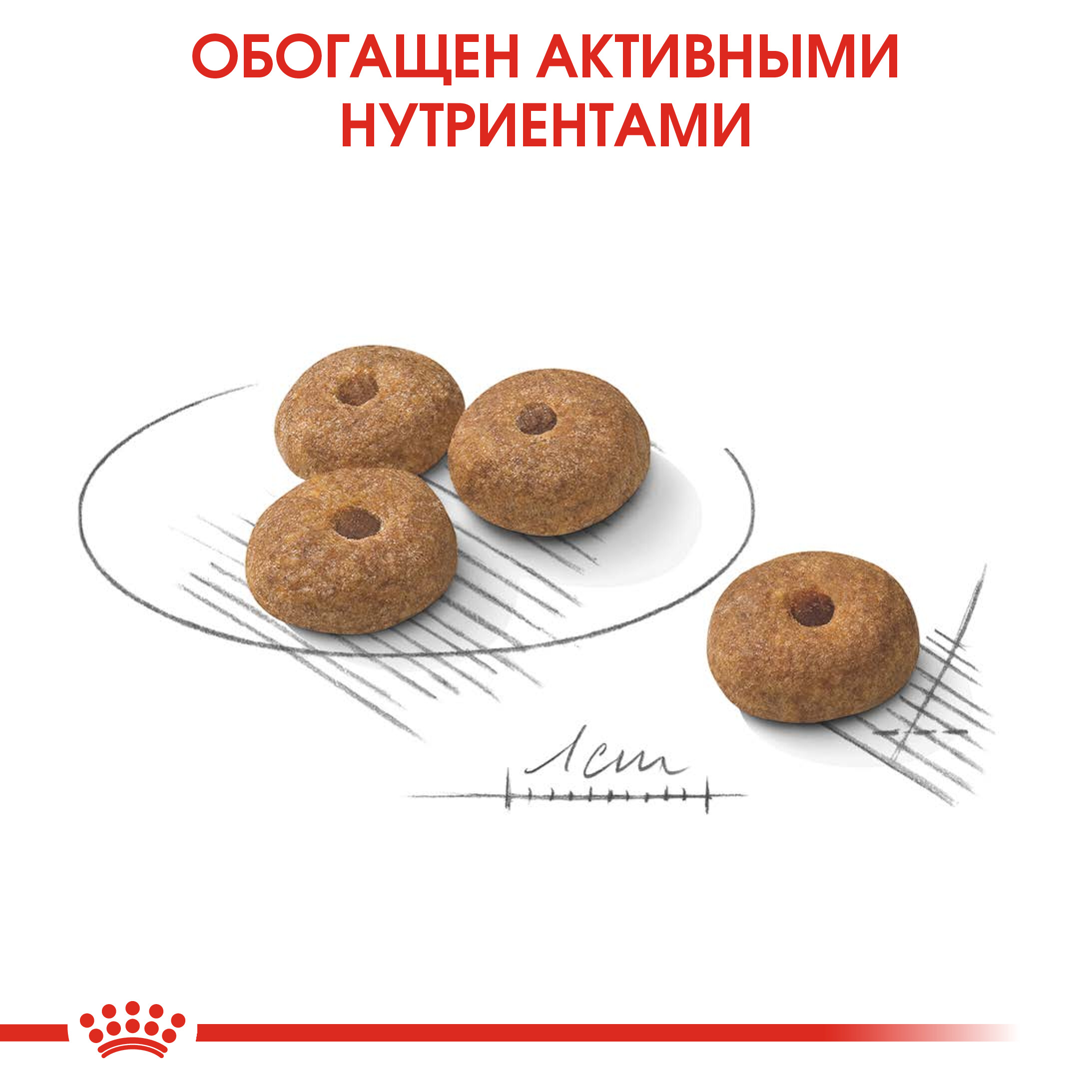 5_RC-CCN-SterilisedMini-CV-Eretailkit-5__rus