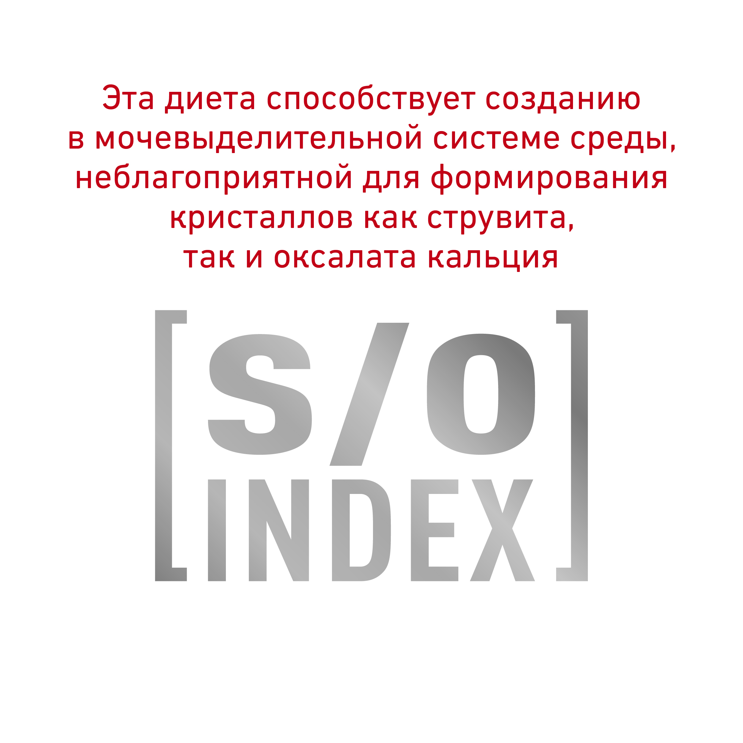 Гипоаллердженик Смол Дог_5