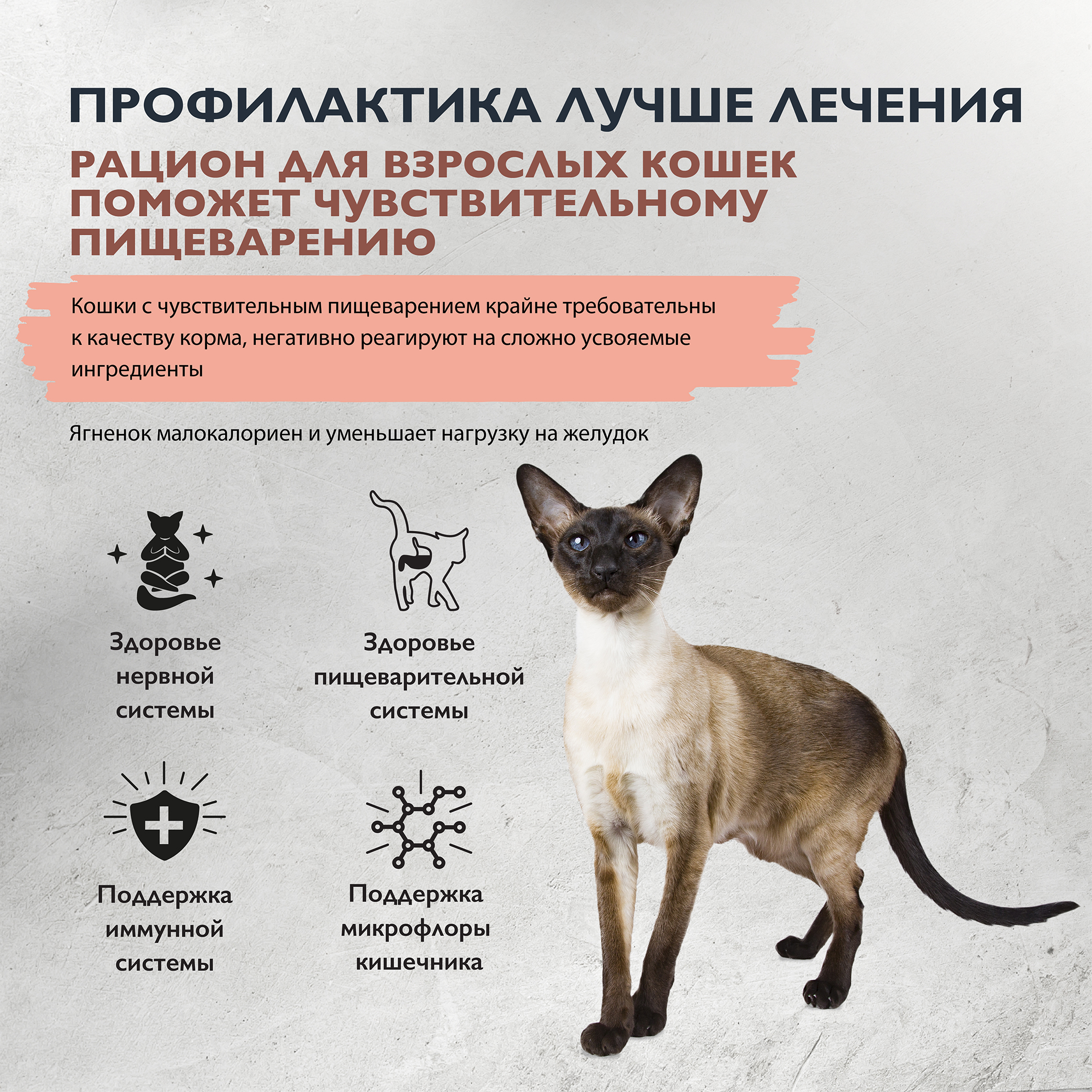 cat_sensitive_healthy_digestion-02