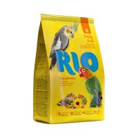 RIO_feed_parakeets_face
