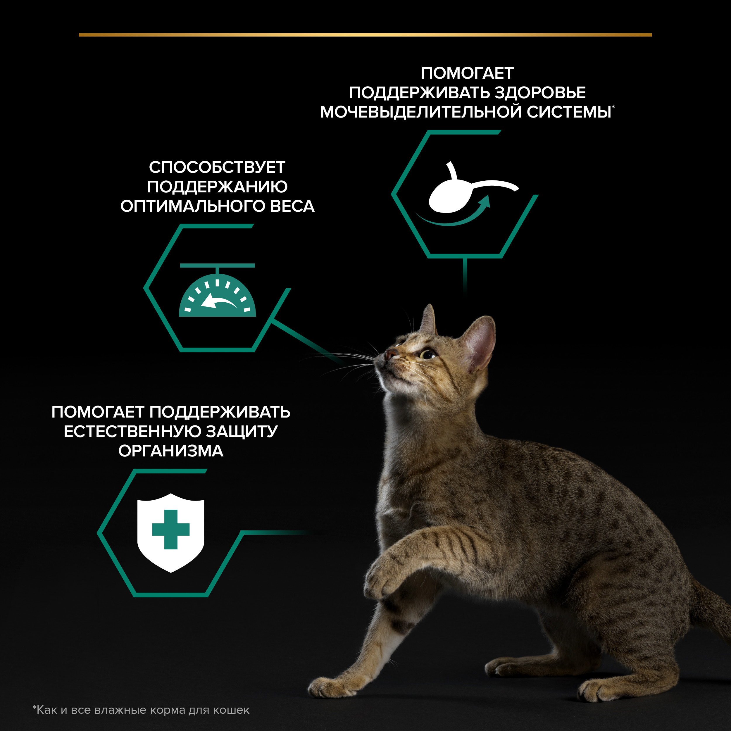 8445291203624_benefits_ru