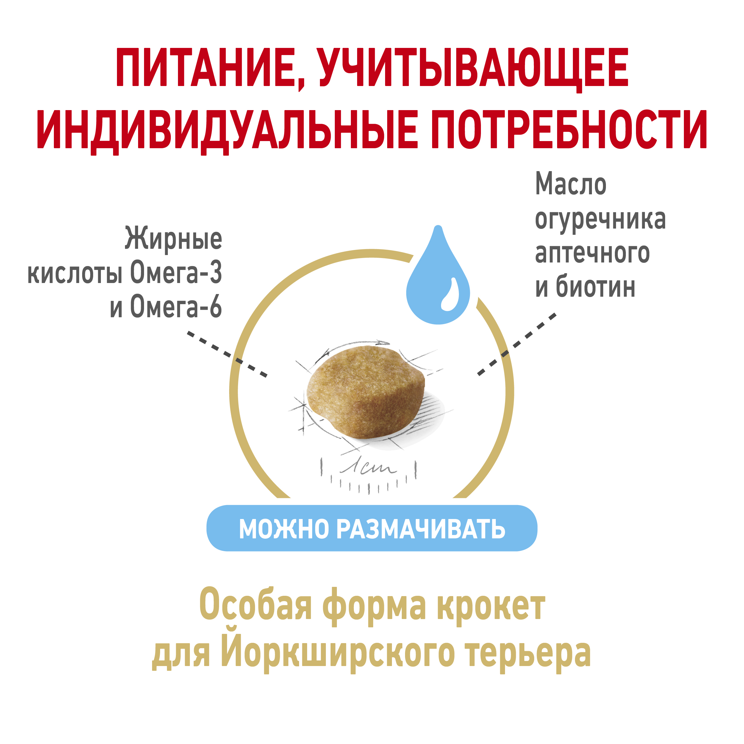 5_RC-SPT-DRY-York8_rus4