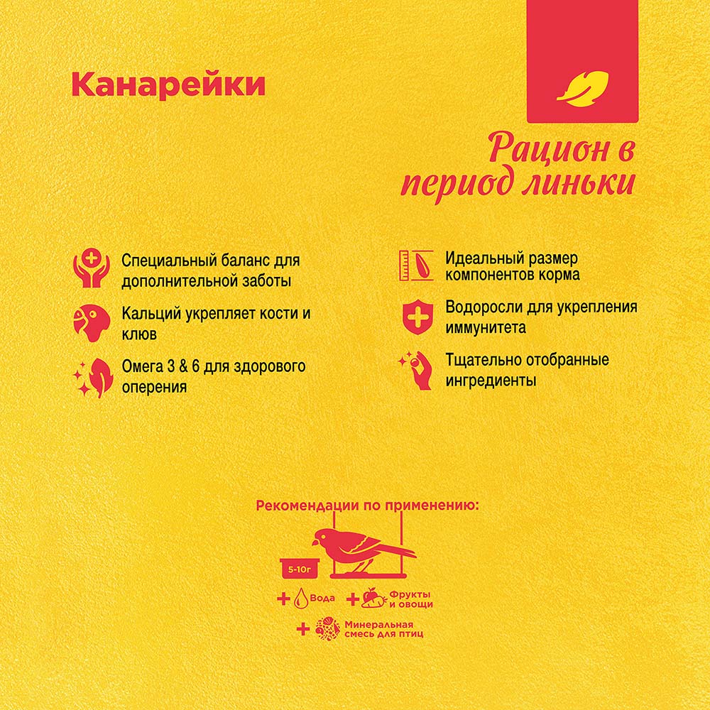 RIO_feed_canaries_mp_plus